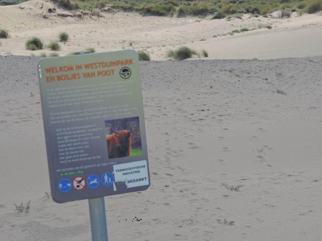 Sea & Dunes Den Haag Bagian luar foto